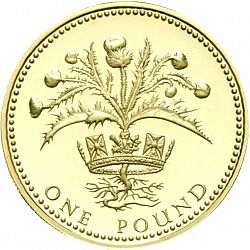 Large Reverse for £1 1989 coin