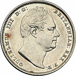 Large Obverse for Sixpence 1831 coin