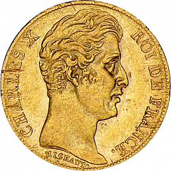 Large Obverse for 20 Francs 1825 coin