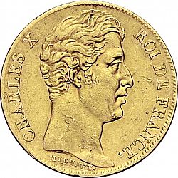 Large Obverse for 20 Francs 1827 coin