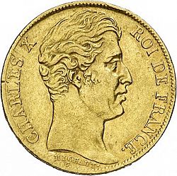Large Obverse for 20 Francs 1828 coin