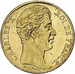 Large Obverse for 20 Francs 1830 coin