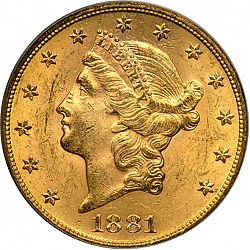 20 dollar 1881 Large Obverse coin
