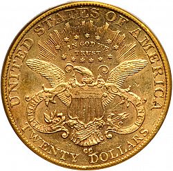 20 dollar 1891 Large Reverse coin