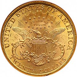 20 dollar 1894 Large Reverse coin