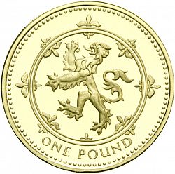 Large Reverse for £1 1994 coin
