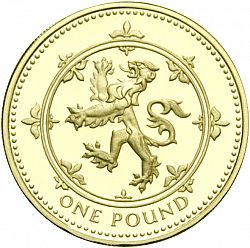 Large Reverse for £1 1999 coin