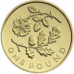 Large Reverse for £1 2013 coin