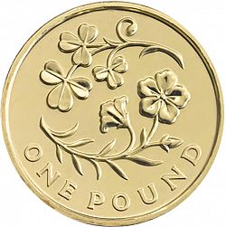 Large Reverse for £1 2014 coin