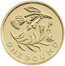 Large Reverse for £1 2014 coin