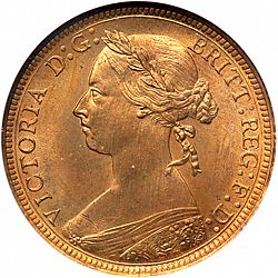 Large Obverse for Halfpenny 1891 coin