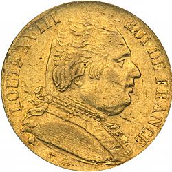Large Obverse for 20 Francs 1815 coin