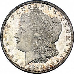 1 dollar 1891 Large Obverse coin