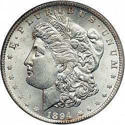 1 dollar 1894 Large Obverse coin