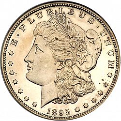 1 dollar 1895 Large Obverse coin