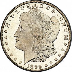1 dollar 1899 Large Obverse coin