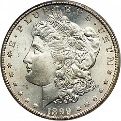 1 dollar 1899 Large Obverse coin