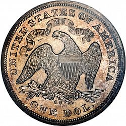 1 dollar 1872 Large Reverse coin