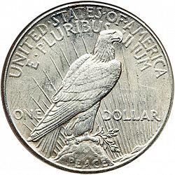 1 dollar 1928 Large Reverse coin