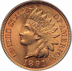 1 cent 1891 Large Obverse coin