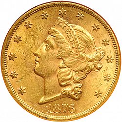 20 dollar 1876 Large Obverse coin