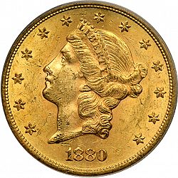 20 dollar 1880 Large Obverse coin