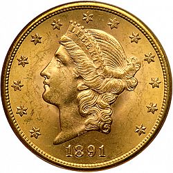 20 dollar 1891 Large Obverse coin
