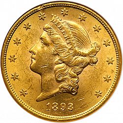 20 dollar 1893 Large Obverse coin