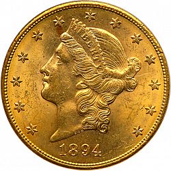 20 dollar 1894 Large Obverse coin