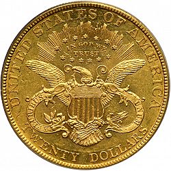 20 dollar 1885 Large Reverse coin