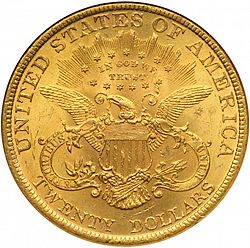 20 dollar 1899 Large Reverse coin