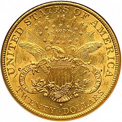 20 dollar 1899 Large Reverse coin