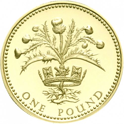 £1 Reverse Image minted in UNITED KINGDOM in 1989 (1971-up  -  Elizabeth II - Decimal Coinage)  - The Coin Database