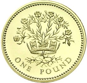 £1 Reverse Image minted in UNITED KINGDOM in 1991 (1971-up  -  Elizabeth II - Decimal Coinage)  - The Coin Database
