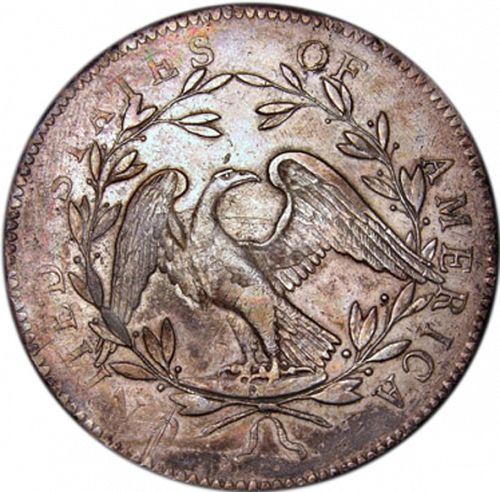 1 dollar Reverse Image minted in UNITED STATES in 1794 (Flowing Hair)  - The Coin Database