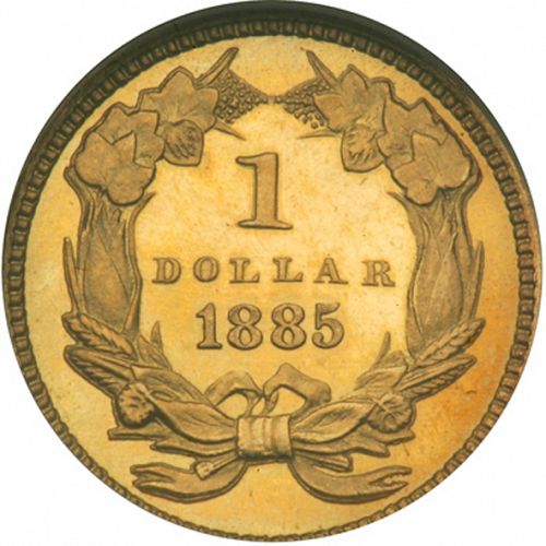 1 dollar - Gold Reverse Image minted in UNITED STATES in 1885 (Large Indian Head)  - The Coin Database