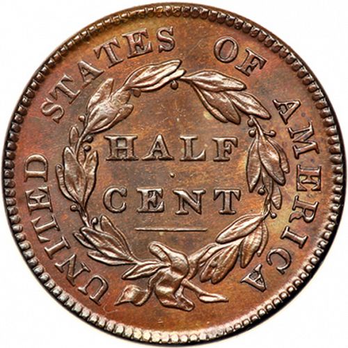 half cent Reverse Image minted in UNITED STATES in 1828 (Classic Head)  - The Coin Database
