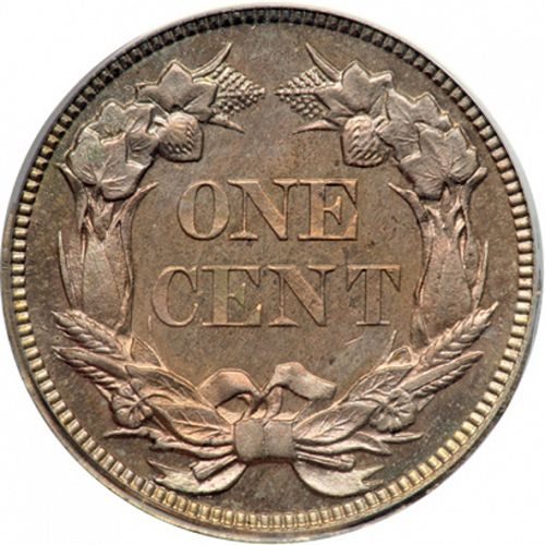 1 cent Reverse Image minted in UNITED STATES in 1856 (Flying Eagle)  - The Coin Database