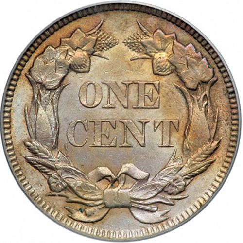 1 cent Reverse Image minted in UNITED STATES in 1857 (Flying Eagle)  - The Coin Database