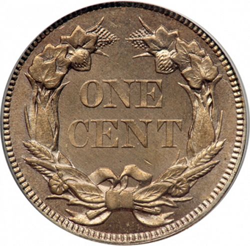 1 cent Reverse Image minted in UNITED STATES in 1858 (Flying Eagle)  - The Coin Database