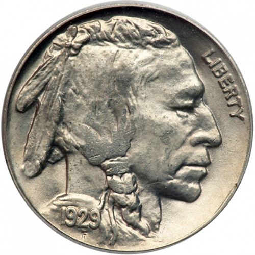 5 cent Obverse Image minted in UNITED STATES in 1929 (Buffalo - Line Type)  - The Coin Database