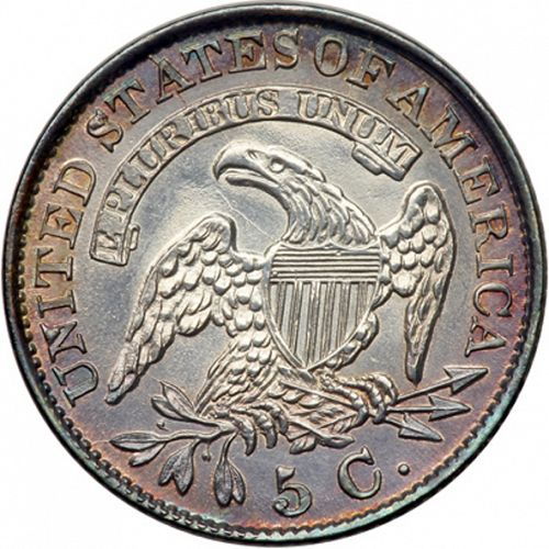 5 cent Reverse Image minted in UNITED STATES in 1831 (Libery Cap)  - The Coin Database